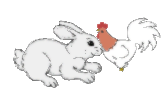 Nos autres animaux