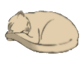 Nos chats